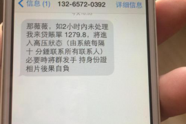 屏边为什么选择专业追讨公司来处理您的债务纠纷？