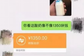 屏边屏边专业催债公司的催债流程和方法